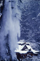 遭遇(そうぐう)