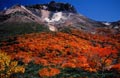 姥ケ原秋景