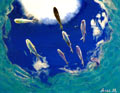 水深5M上空