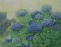紫陽花
