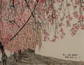 美しい日本、枝垂桜、旅路会津の地