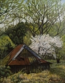 春を迎えた「里山の納屋」