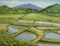 田植えを待つ頃 田植えを待つ頃