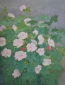 芙蓉 芙蓉
