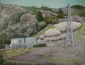 水路式発電所立地の里山・春景 水路式発電所立地の里山・春景